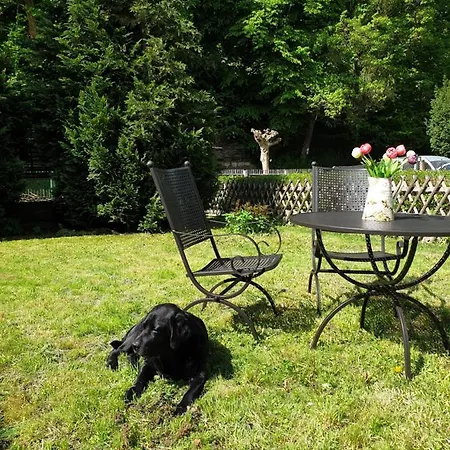 Stillvolle Designwohnung Im Historischen Zentrum Stolberg i. Harz